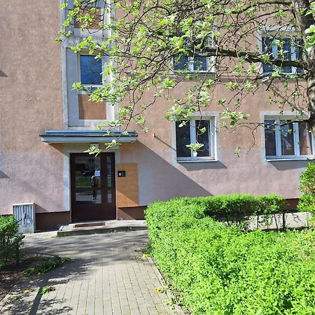 Apartament Katrin II Stary Toruń المظهر الخارجي الصورة